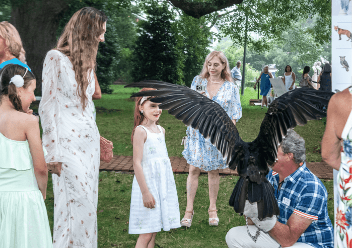 Vlad the turkey vulture is an Evelyn Alexander Wildlife Rescue Center ambassador